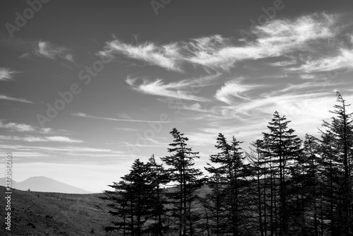 Wallpaper Mural 長野県諏訪市　夏の車山高原 Torontodigital.ca