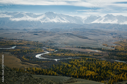 Obraz na płótnie A panoramic view of a golden autumn forest with winding rivers and snowy mountains on the horizon in the Altai Republic. w salonie