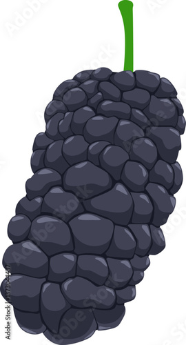 Reife Maulbeere mit dunkler Farbe – süß, saftig und reich an Antioxidantien.
