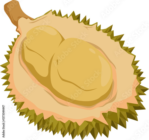 Geöffnete Durian mit Fruchtfleisch – intensiv im Aroma, exotisch und nährstoffreich.
