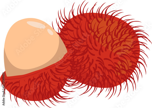 Geöffneter Rambutan mit Fruchtfleisch – süß, exotisch und reich an Vitaminen.
