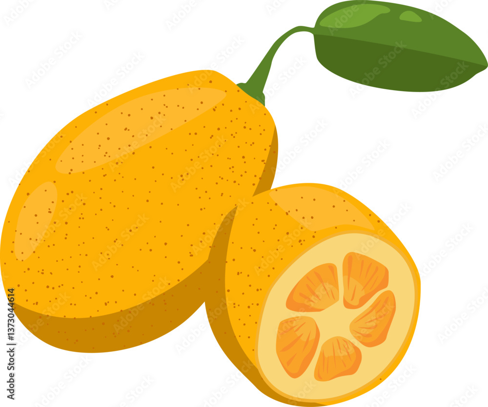 Kumquat mit Stück – kleine, aromatische Zitrusfrucht mit essbarer Schale, süß-säuerlich im Geschmack.
