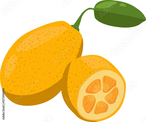 Kumquat mit Stück – kleine, aromatische Zitrusfrucht mit essbarer Schale, süß-säuerlich im Geschmack.
