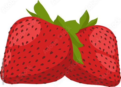 Zwei reife Erdbeeren – süß, aromatisch und ideal für Desserts, Smoothies oder puren Genuss.
