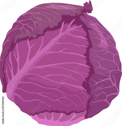 Ganze Rotkohlsorte mit intensiv violetten Blättern – klassisch für Salate oder warme Beilagen.

