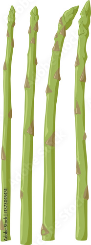 Vier Stangen grüner Spargel – zart und aromatisch, perfekt zum Dünsten, Braten oder Grillen.
