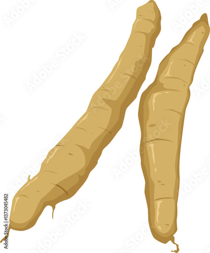 Zwei Schwarzwurzeln – rustikales Wintergemüse mit feinem Geschmack, auch bekannt als Winterspargel.
