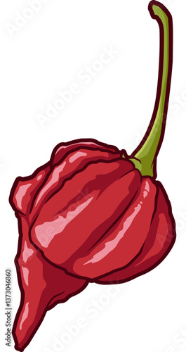 Trinidad Scorpion – tiefrote Chili mit extremer Schärfe und charakteristischer Spitze, ideal für scharfe Soßen und Mutige.