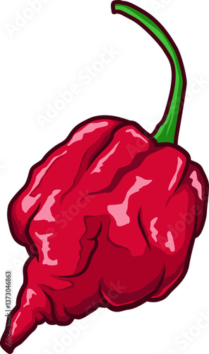 Extrem scharfe rote Carolina Reaper – eine der schärfsten Chilis der Welt, mit fruchtigem Aroma und unverwechselbarem Aussehen.