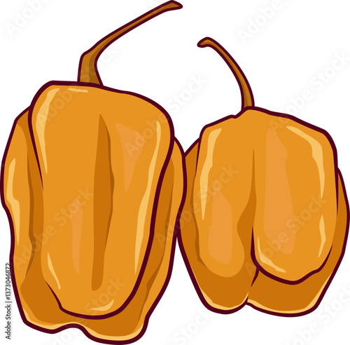 Orangefarbene Habanero-Chilis mit tropischer Note und starker Schärfe – ideal für scharfe Soßen und Liebhaber intensiver Würze.