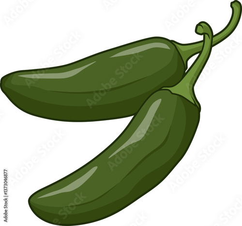 Zwei dunkelgrüne Jalapeños – beliebt durch ihren mittelscharfen Geschmack und vielseitig einsetzbar in der Küche.