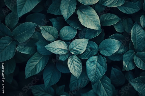 Abstract dark toned background featuring textured leaves designed with a vintage retro fi