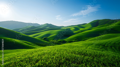Rolling Green Hills Under a Clear Blue Sky