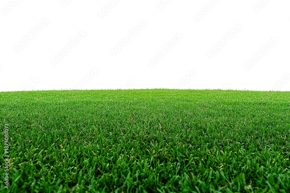 Fototapeta premium Green Field Horizon: A vibrant expanse of emerald green grass stretches towards the horizon, creating a sense of boundless space and natural serenity.