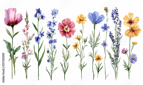 Wallpaper Mural Watercolor wildflowers collection: colorful floral arrangement vector Torontodigital.ca