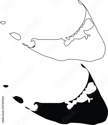 Nantucket Islands Massachusetts Map Silhouette Flat and Outline Design
