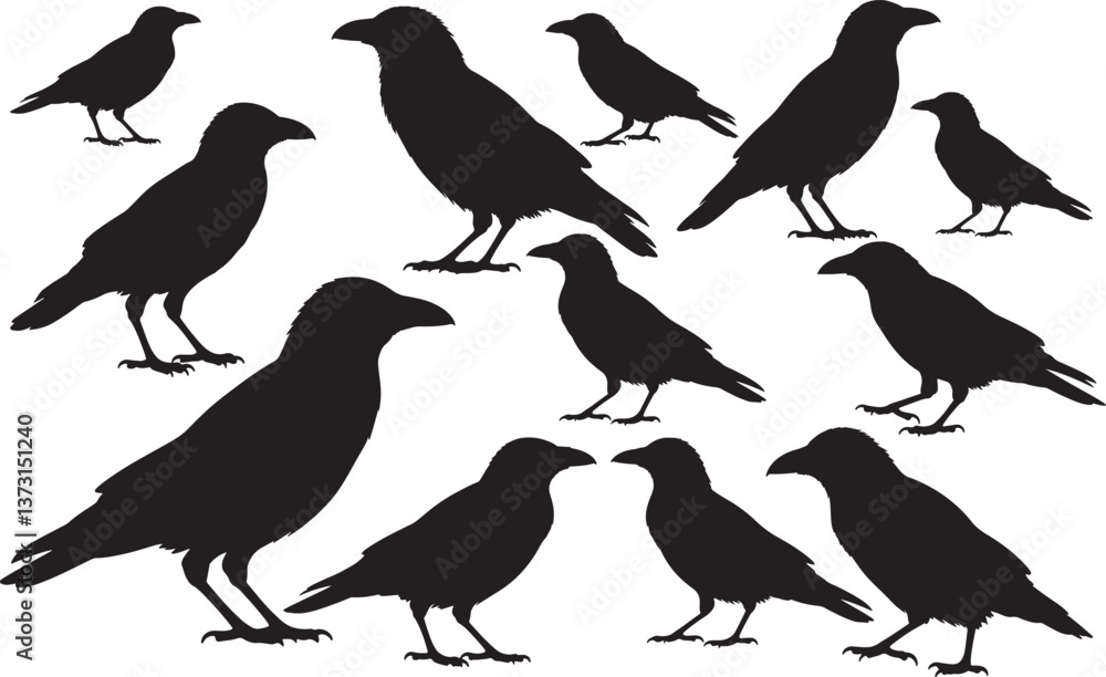 Obraz premium American Crow Silhouette