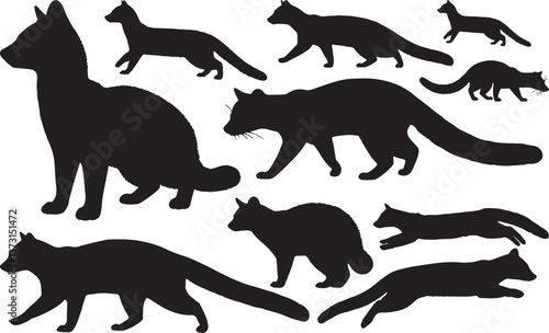 Genet Leaping Silhouette