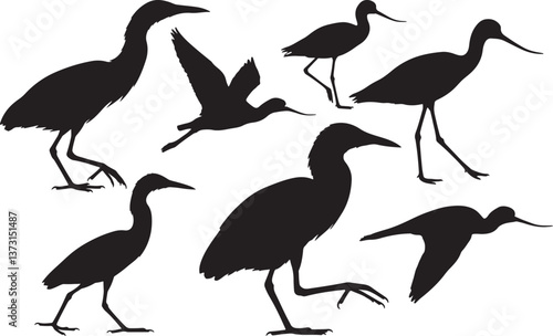 American Avocet Silhouette
