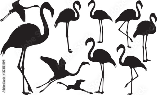 American Flamingo Silhouette
