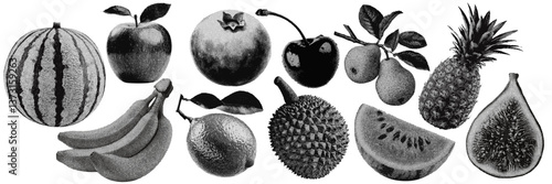 Set of fruit halftone grunge vector design elements