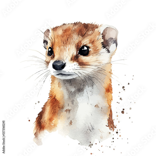 A watercolor vector of a weasel, isolated on a white background. Weasel vector.

