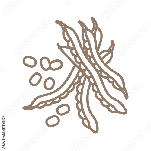 Phaseolus Vulgaris Bean Pods Line Art Illustration