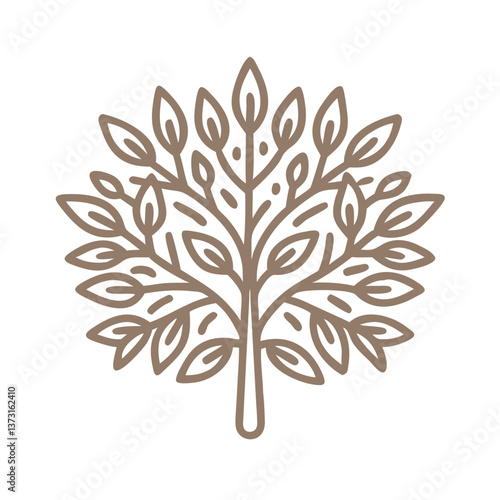 Minimalist Bay Tree Laurus Nobilis Vector Illustration