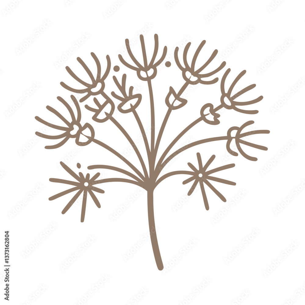 Naklejka premium Elegant Cyperus Esculentus Line Art Illustration