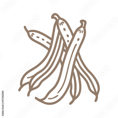 Hand-Drawn French Beans Vector Illustration
