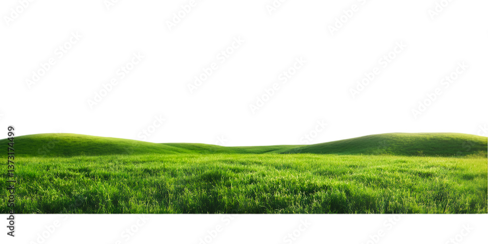 Rolling Green Hills Lush Grassland Landscape Nature Scenery Rolling Green Hills Lush Grassland Landscape Nature Scenery