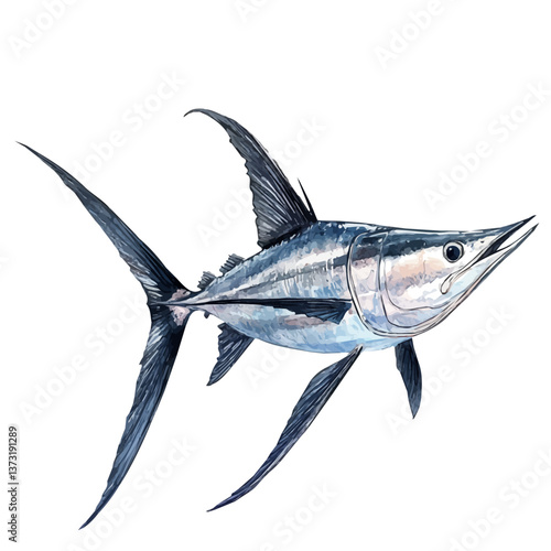 A watercolor vector of a swordfish, isolated on a white background. Swordfish vector.

