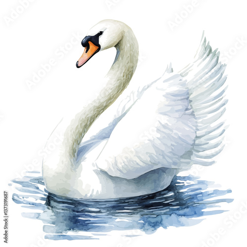 A watercolor vector of a swan, isolated on a white background. Swan vector.

