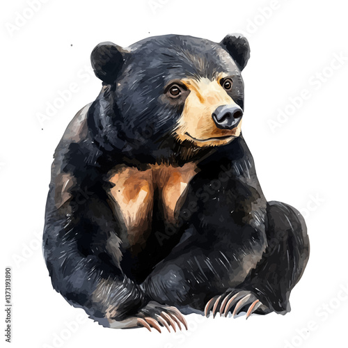A watercolor vector of a sun bear, isolated on a white background. Sun bear vector.


