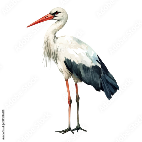 A watercolor vector of a stork, isolated on a white background. Stork vector.

