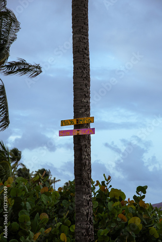 Canvas Print Playas Limpias