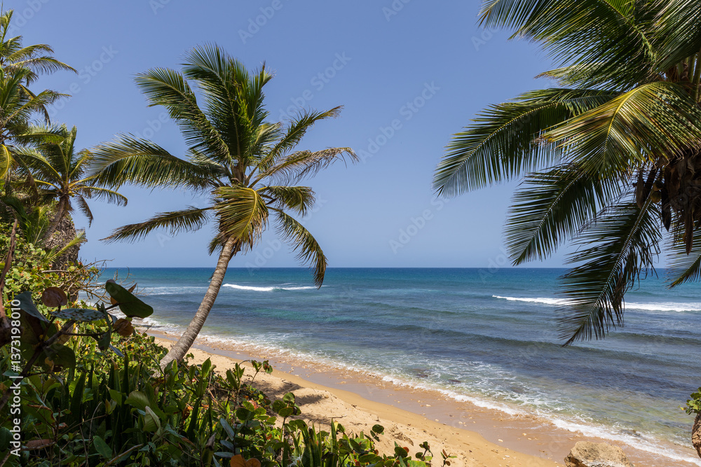 Fototapeta premium Surfers Beach