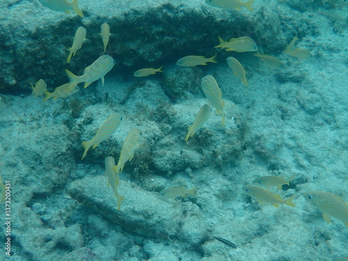 Underwater in Mexico