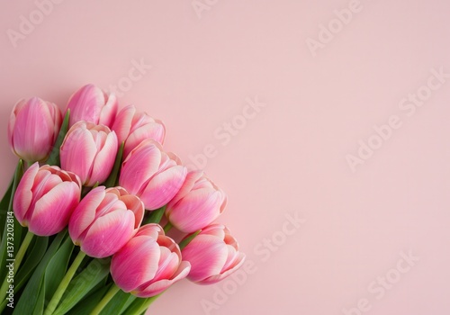 A lovely bouquet of pink tulips arranged against a pastel pink background, ideal for spring themes.