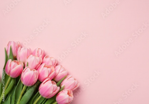 A beautiful bouquet of pastel pink tulips arranged on a matching pink surface creates a serene and elegant scene.