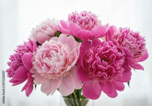 Wallpaper Mural A bouquet of beautiful pink peony flowers in a vase creates an elegant, fresh, and romantic spring ambiance. Torontodigital.ca