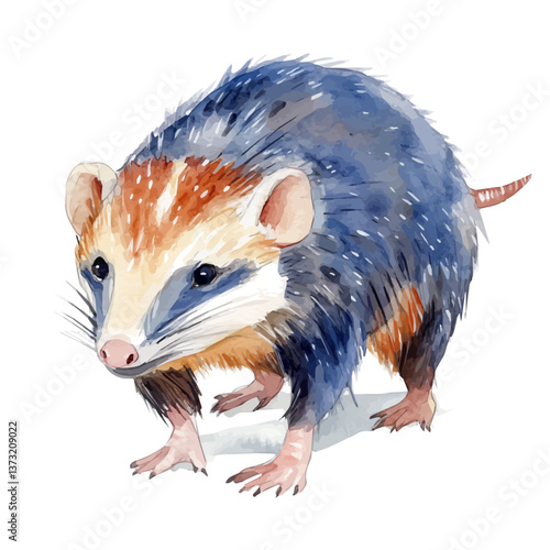 A watercolor vector of a solenodon, isolated on a white background. Solenodon vector.

