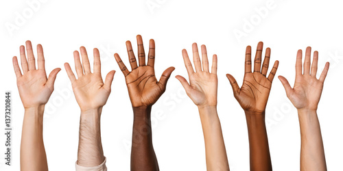 Unity in Diversity: An array of hands, each bearing a unique skin tone, reach upwards in a visual testament to the beauty of multiculturalism and the strength found in coming together.