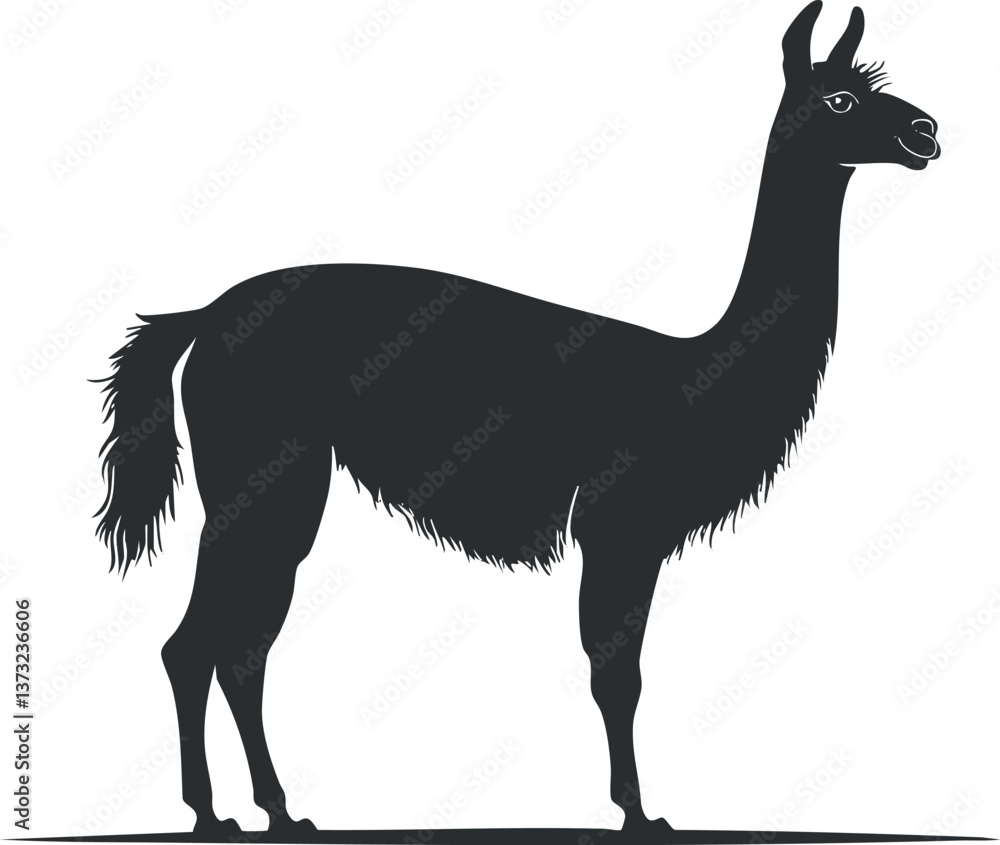 Obraz premium Silhouette of a llama for wildlife and nature-themed designs.
