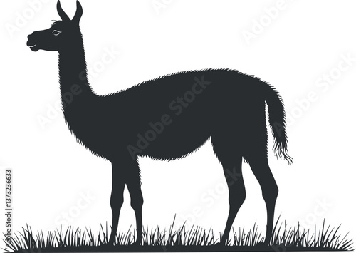 Llama silhouette illustration for wildlife and nature design projects.