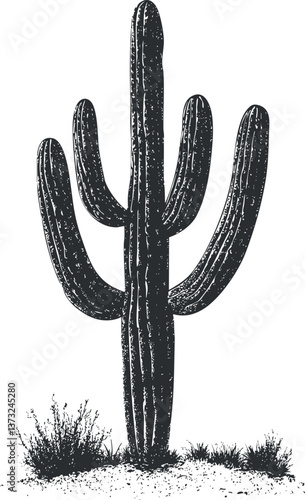 Black and white illustration of a tall saguaro cactus silhouette in a desert setting.