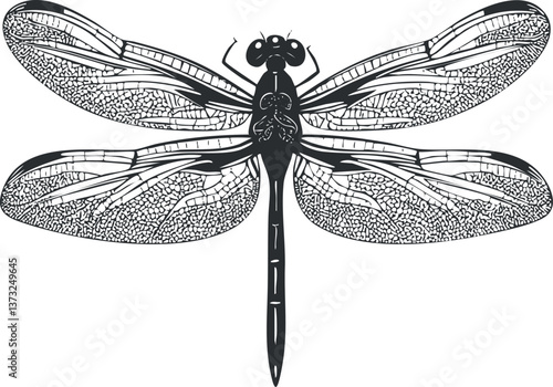 Detailed black and white illustration of a dragonfly with intricate wing patterns.