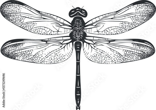 Detailed black and white illustration of a dragonfly with intricate wing patterns and symmetry.