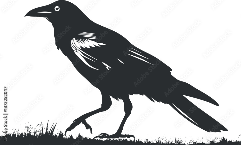 Fototapeta premium Silhouette of a crow walking on grass, showcasing its distinct shape and features.