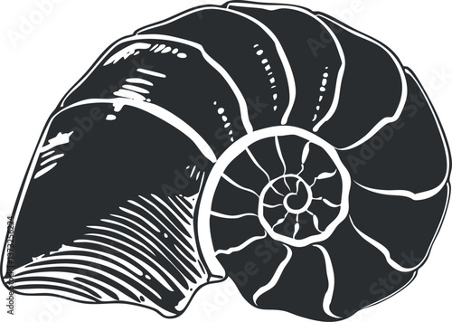 Illustration of a nautilus shell with intricate spiral design in black and white.